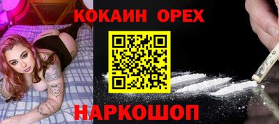 шишки Дубна