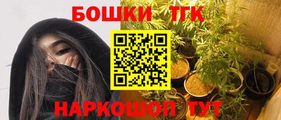 шишки Дубна
