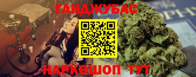 шишки Дубна
