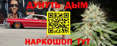шишки Дубна
