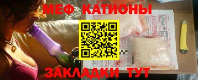 шишки Дубна