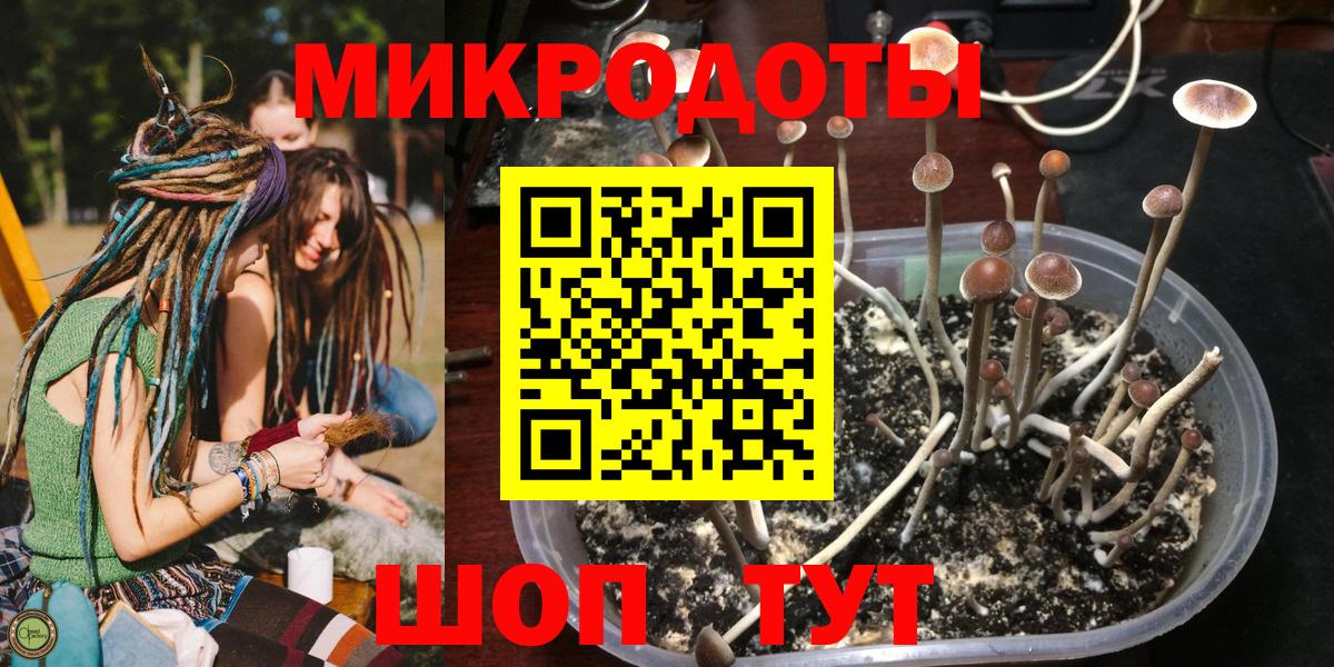 Галлюциногенные грибы мицелий  Вход с VPN  Псилоцибиновые грибы мицелий  Кропоткин 
